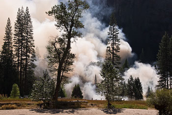 Smoke from burning meadows